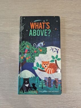 What's Above? Children's Picture Pop-up Book - Hardcover